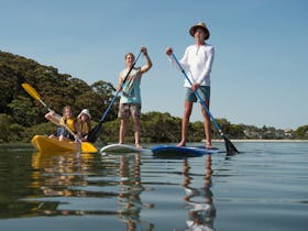 Stand up paddle boarding in the Royal National Park