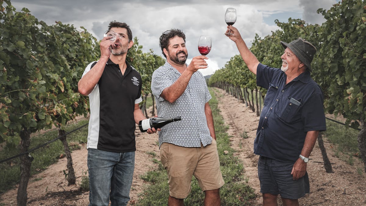 Ray, Jason and Sam Costanzo in vineyard