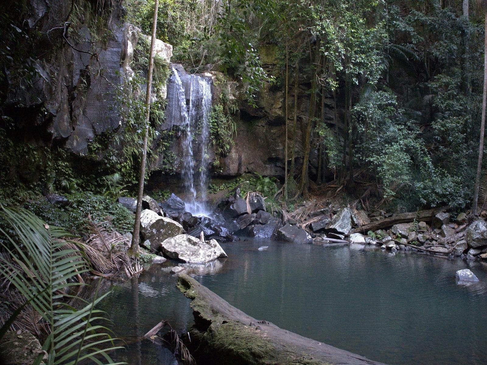 Tamborine MTN Curtis falls