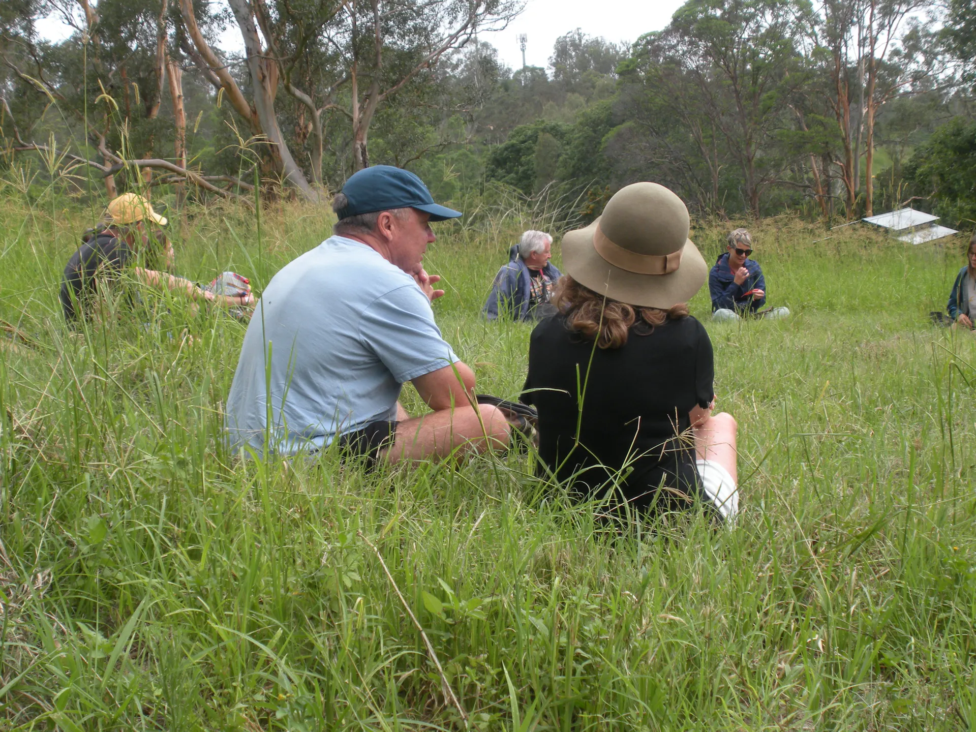 man and woman sitting in long grass with hats, gum trees and other pairs in background
