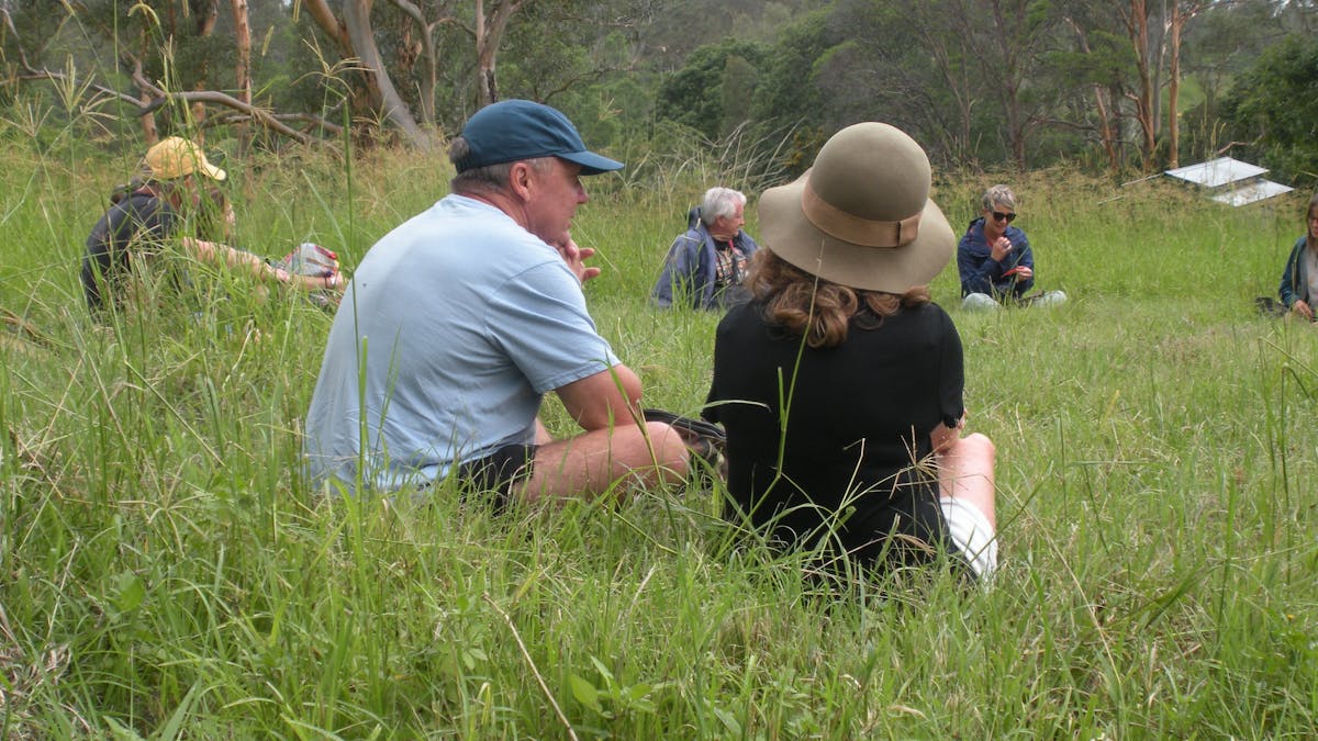 man and woman sitting in long grass with hats, gum trees and other pairs in background