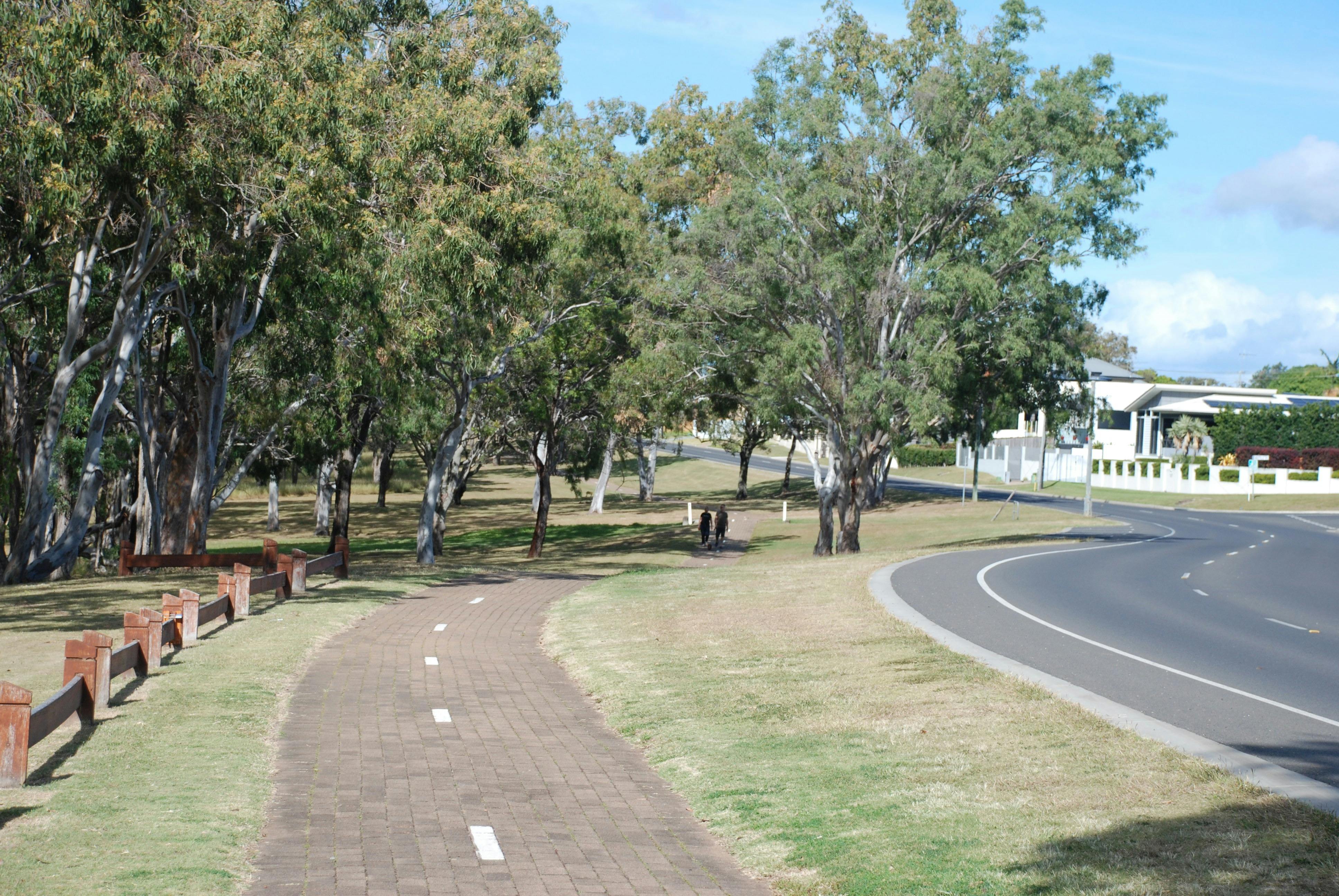 photo showing the recreation pathway winding through trees alongside the esplanade at Point Vernon