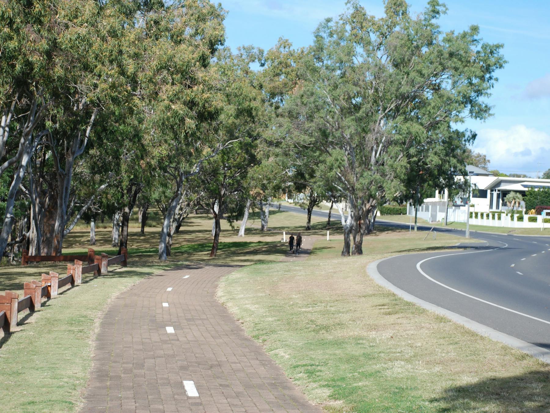 photo showing the recreation pathway winding through trees alongside the esplanade at Point Vernon