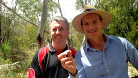 gold nugget, gold prospecting adventure tour