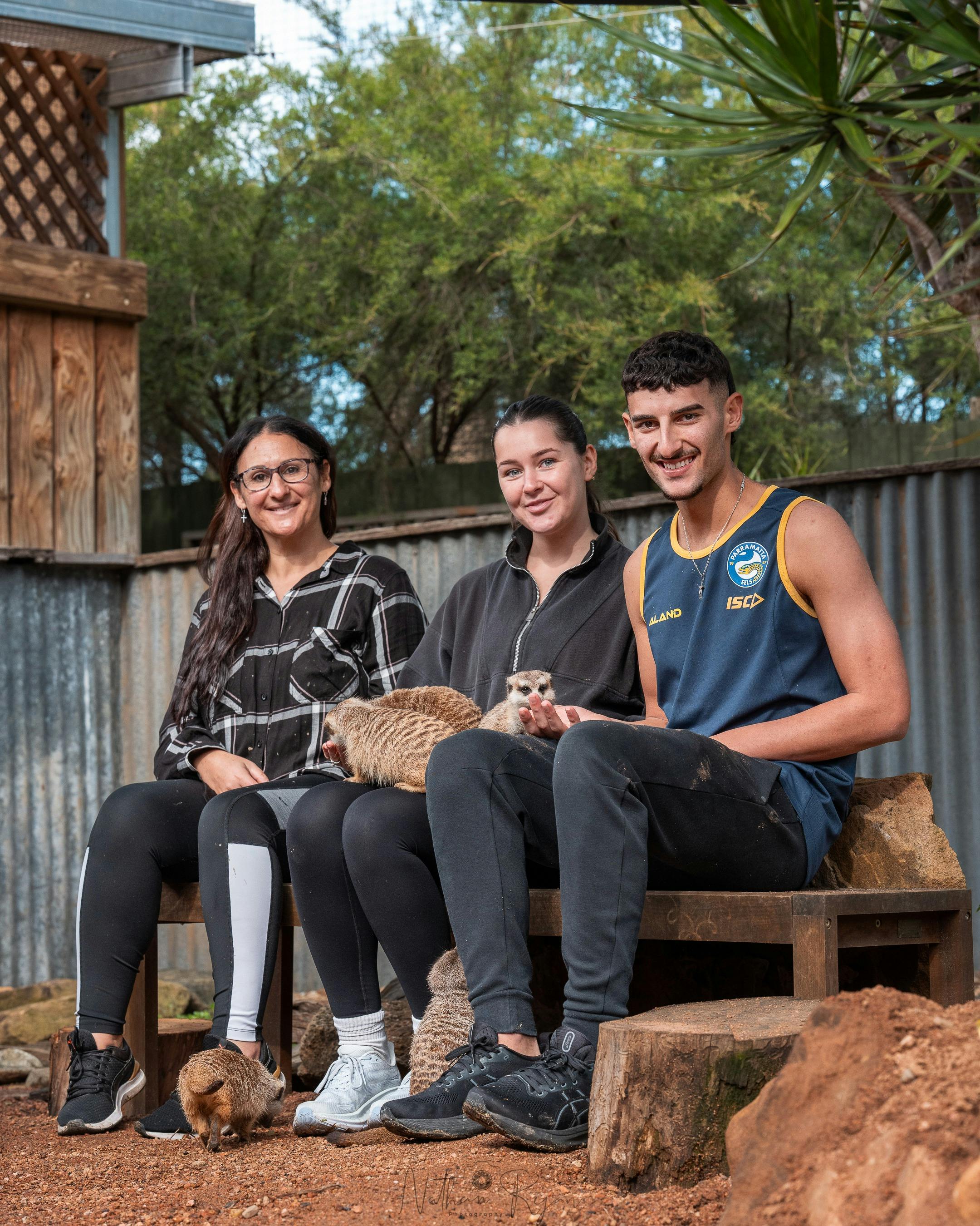 ミーアキャットとの出会いをお楽しみください