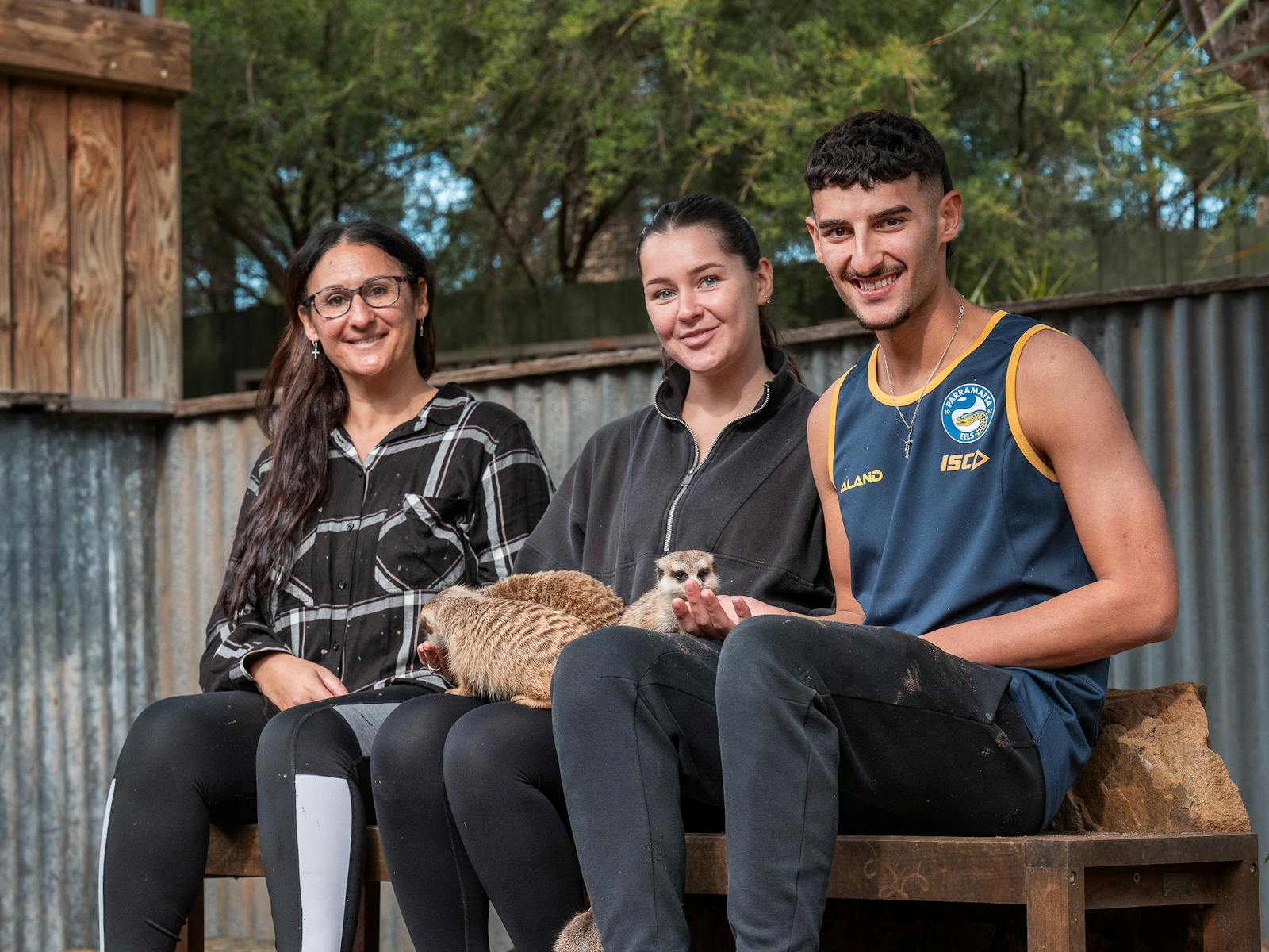 Enjoy an encounter with our Meerkats
