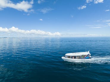 Hervey Bay Nature Cruise Hervey Bay Nature Cruise