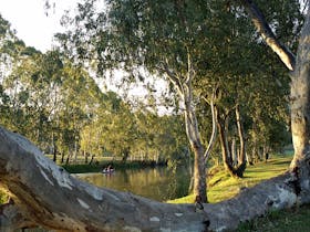 Goomburra image