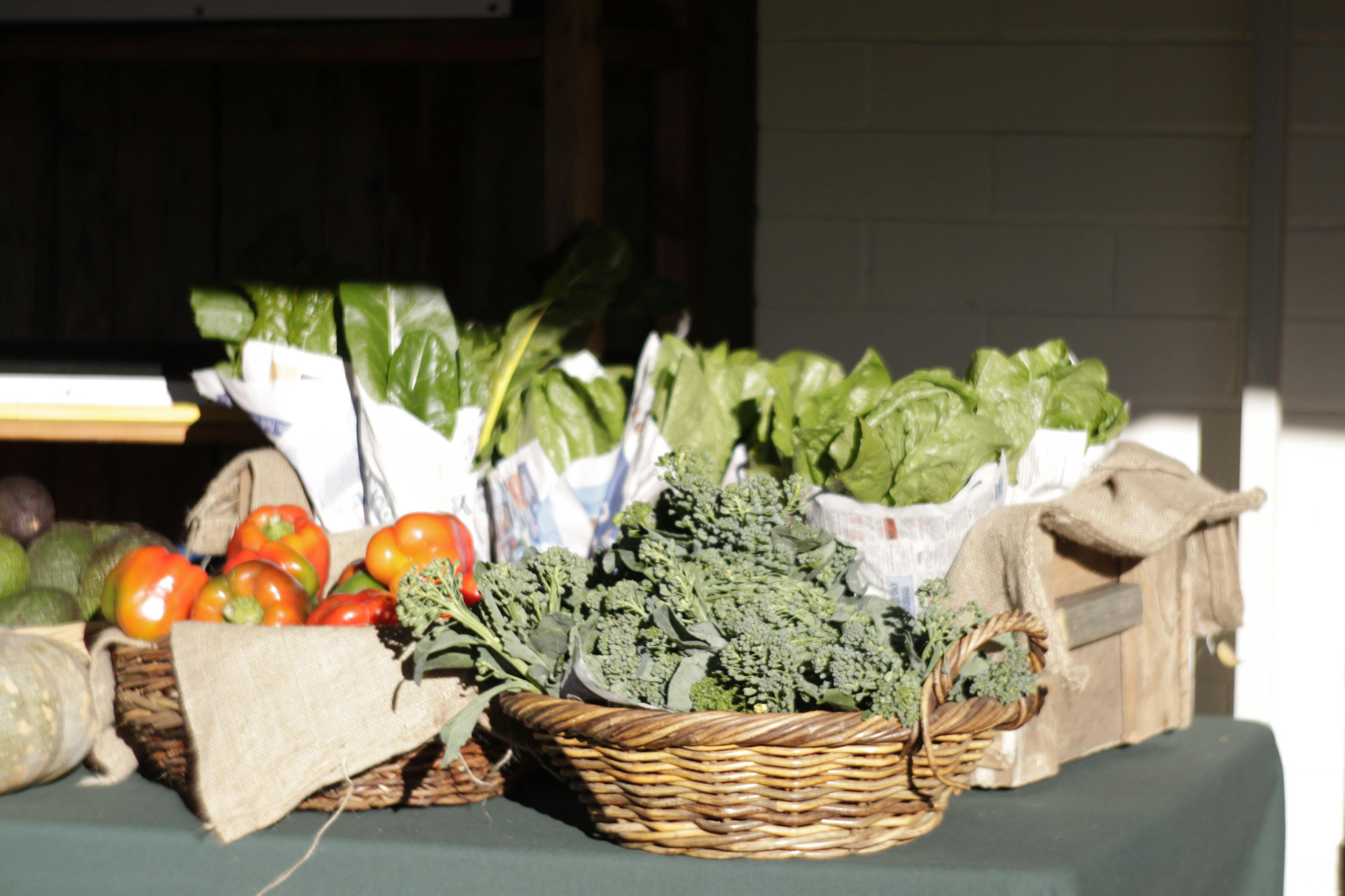 Farmer's Market, East Perth, Western Australia