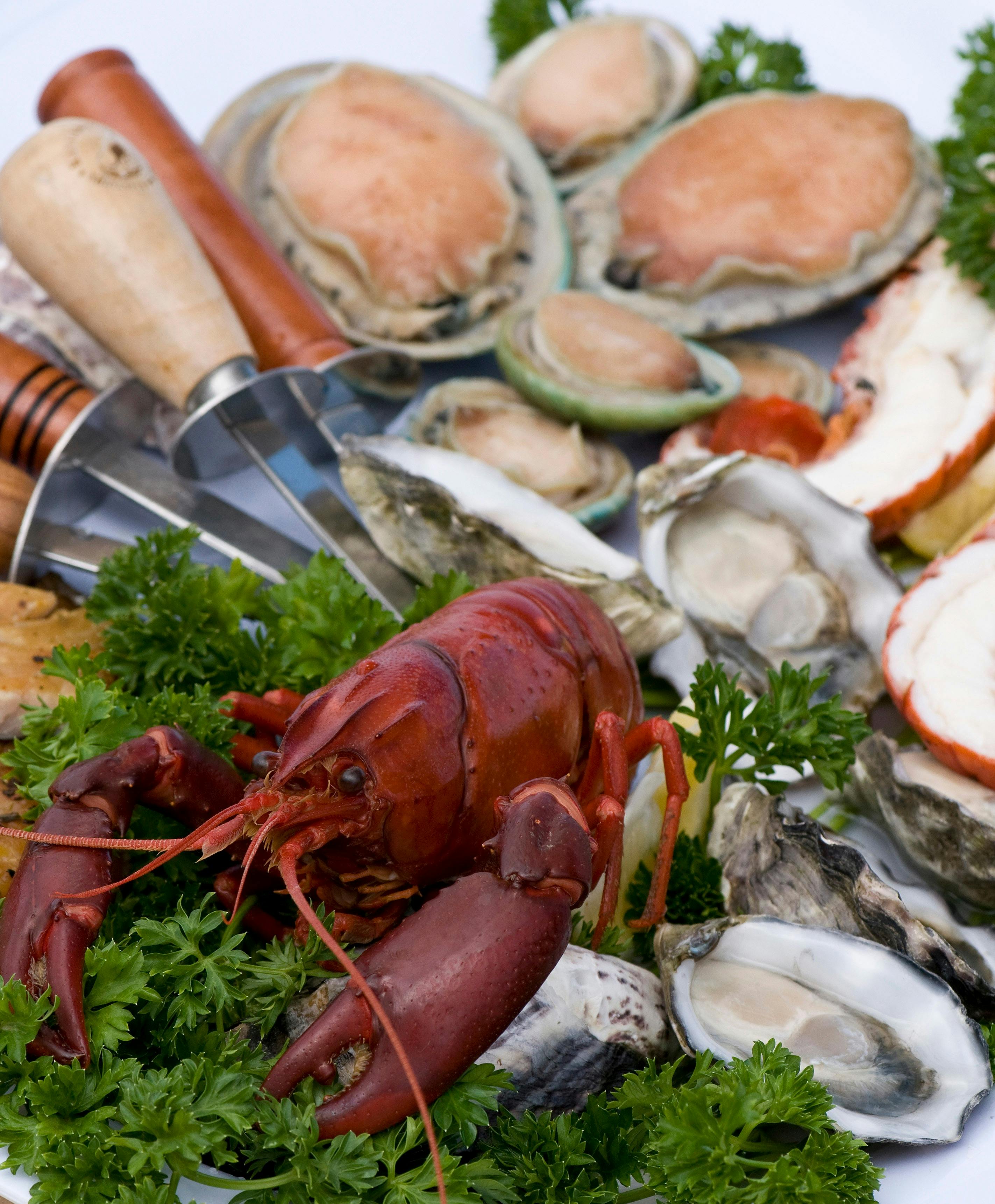 Kangaroo Island Marron