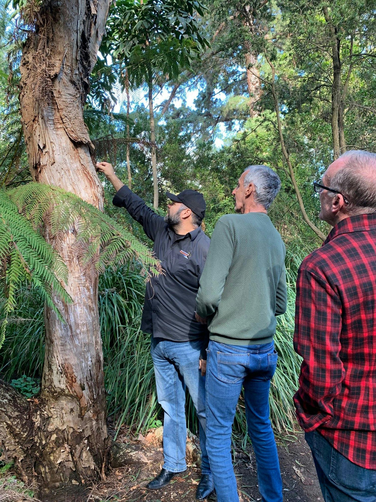 Botanical Gardens Native Plants and Social History Tour