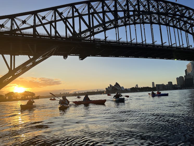 kayakers under the Harbour Bridge at sunrise