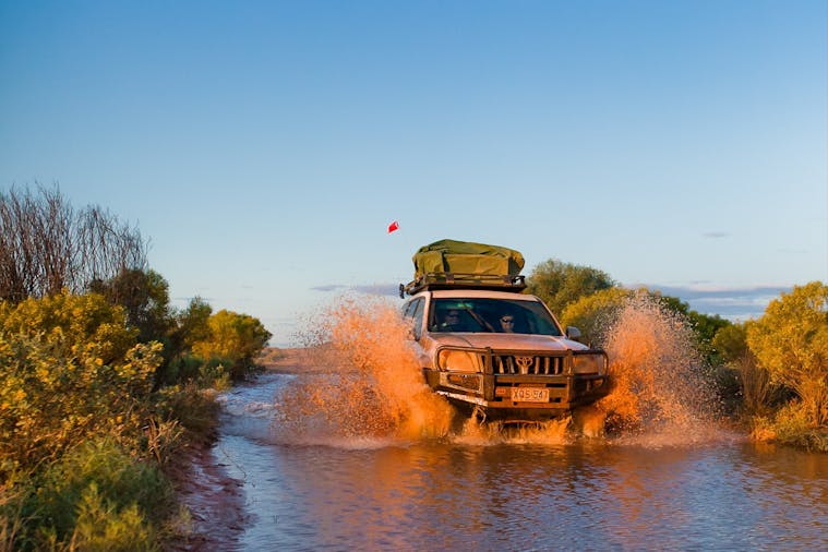Witjira National Park