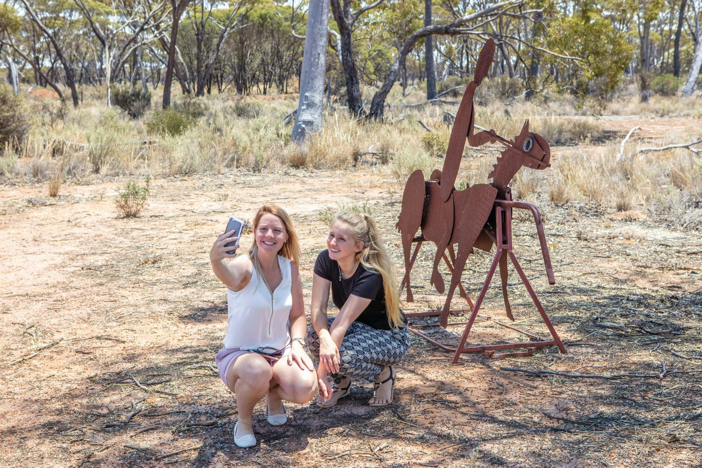 One of many creations on the Tin Horse Highway, which stretches for 20km's near Kulin