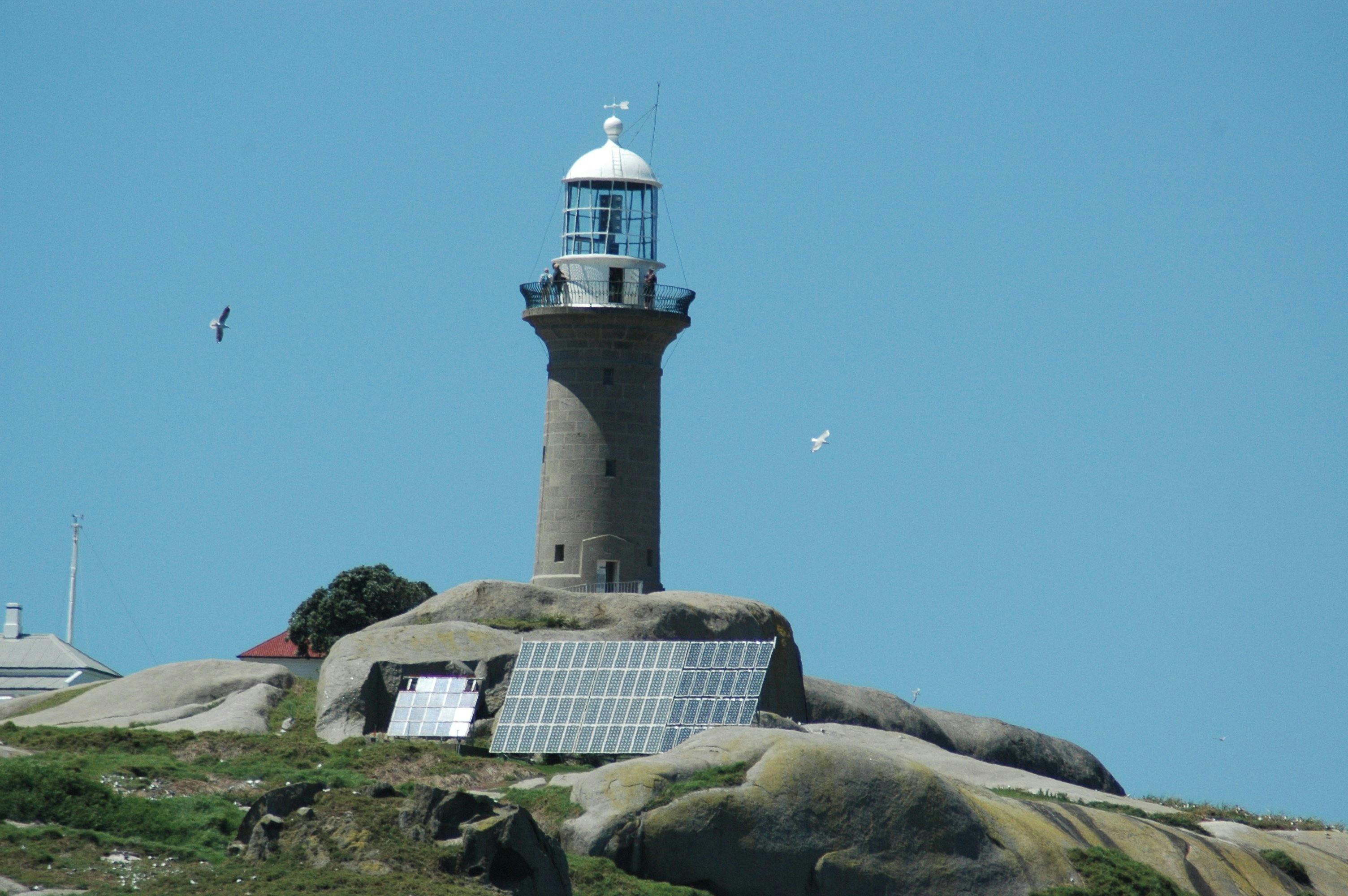 Narooma Charters and Montague Island Tours