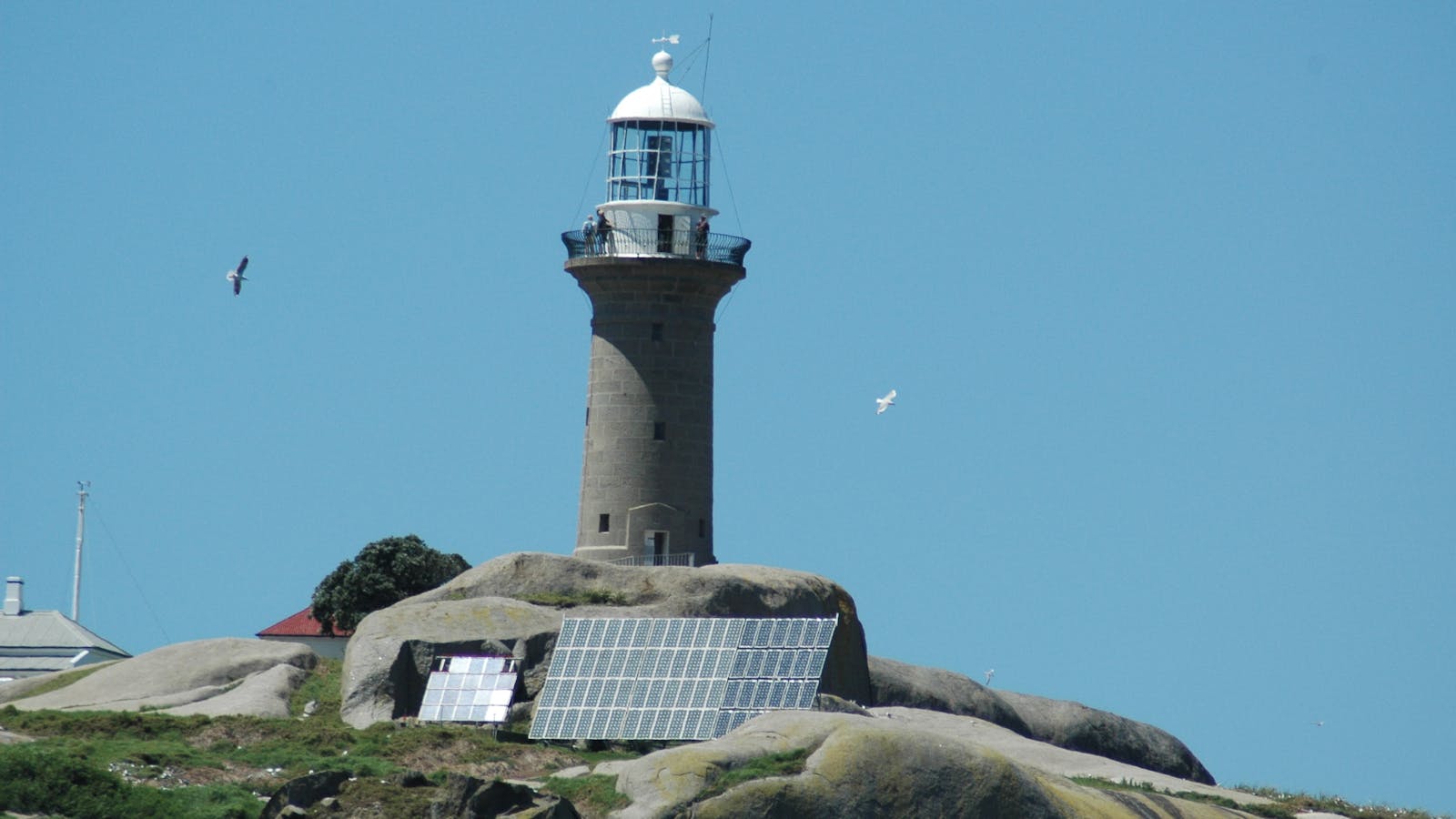 Narooma Charters and Barunguba Montague Island Tours