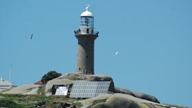Narooma Charters and Barunguba Montague Island Tours