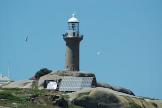 Narooma Charters and Montague Island Tours