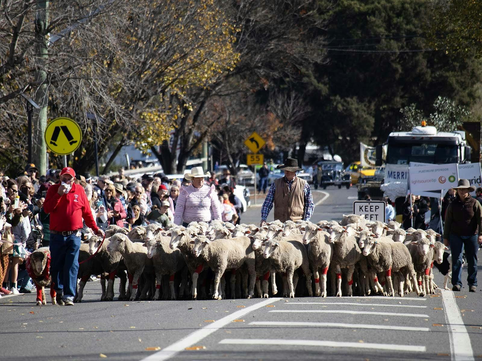 Grand Parade at the Festival of the Fleeces