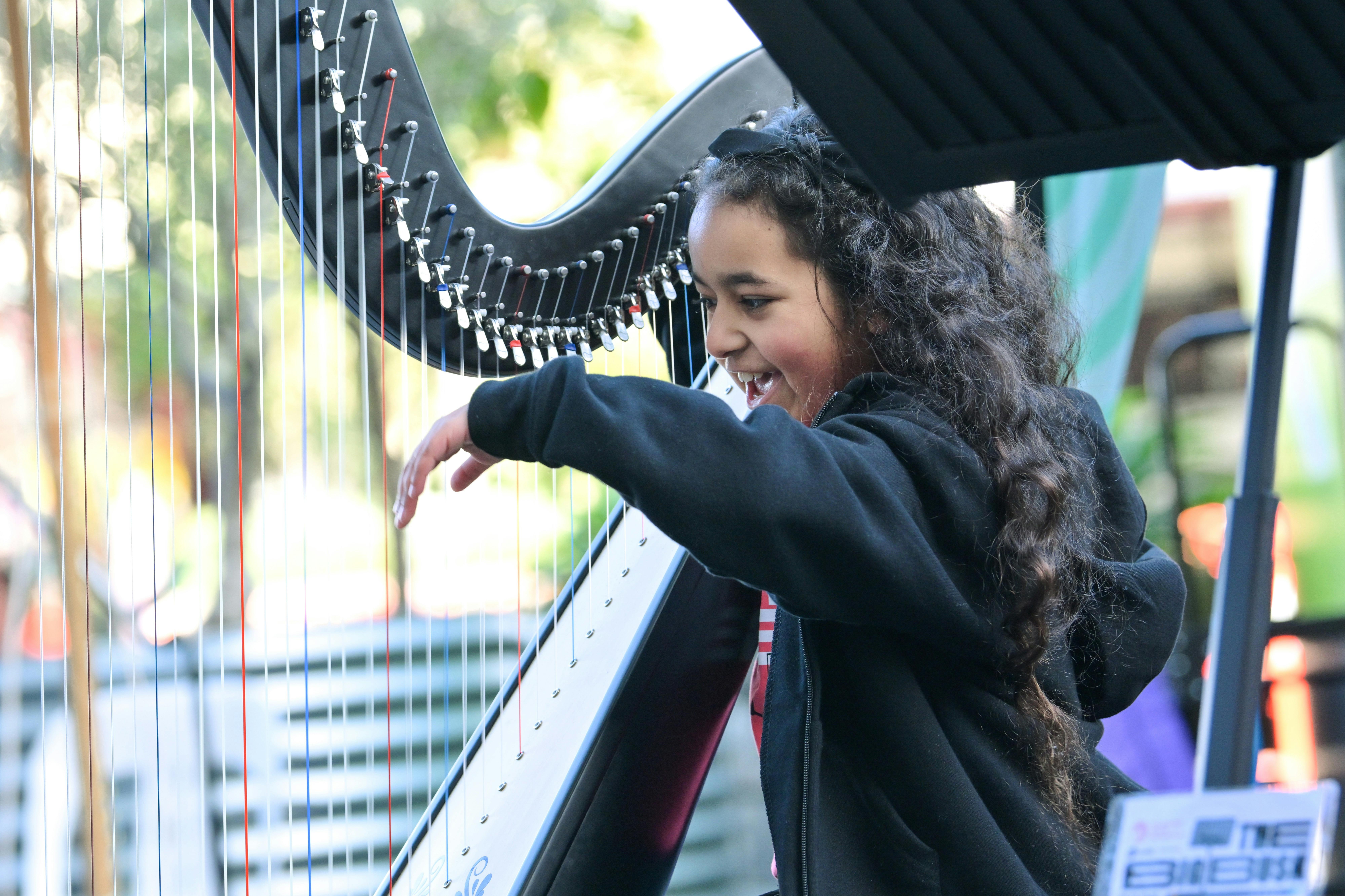 Harp