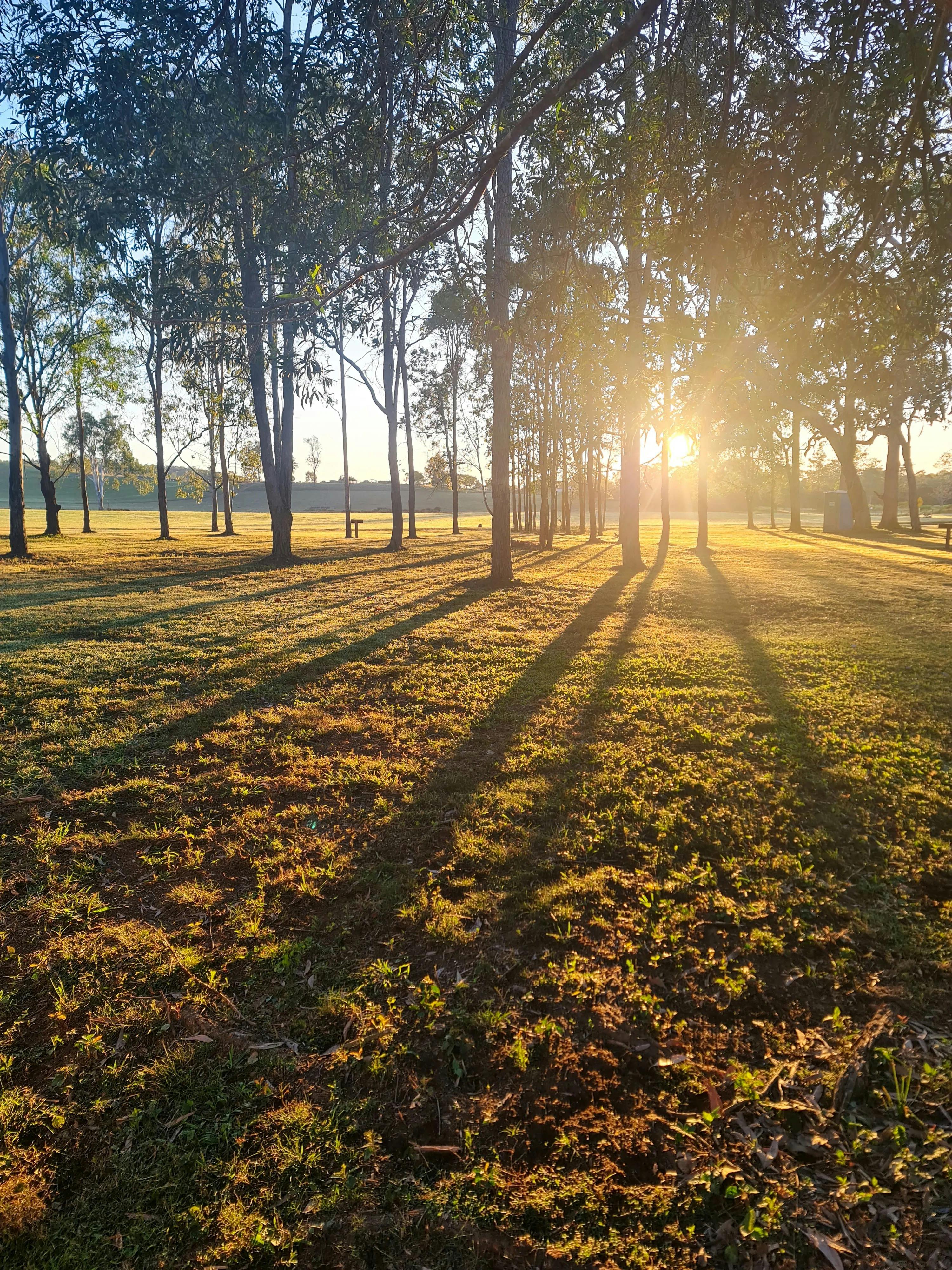 Kandanga Creek Camping