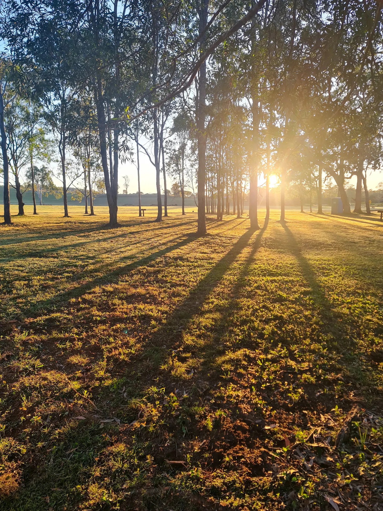 Morning Sunrise