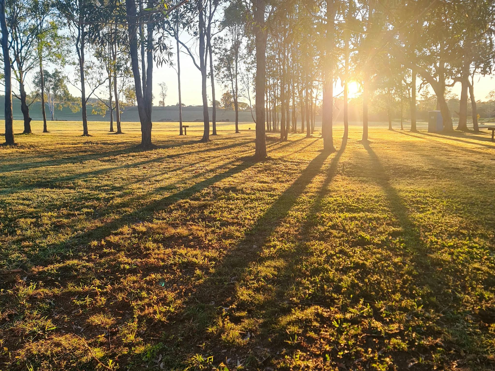 Kandanga Creek Camping