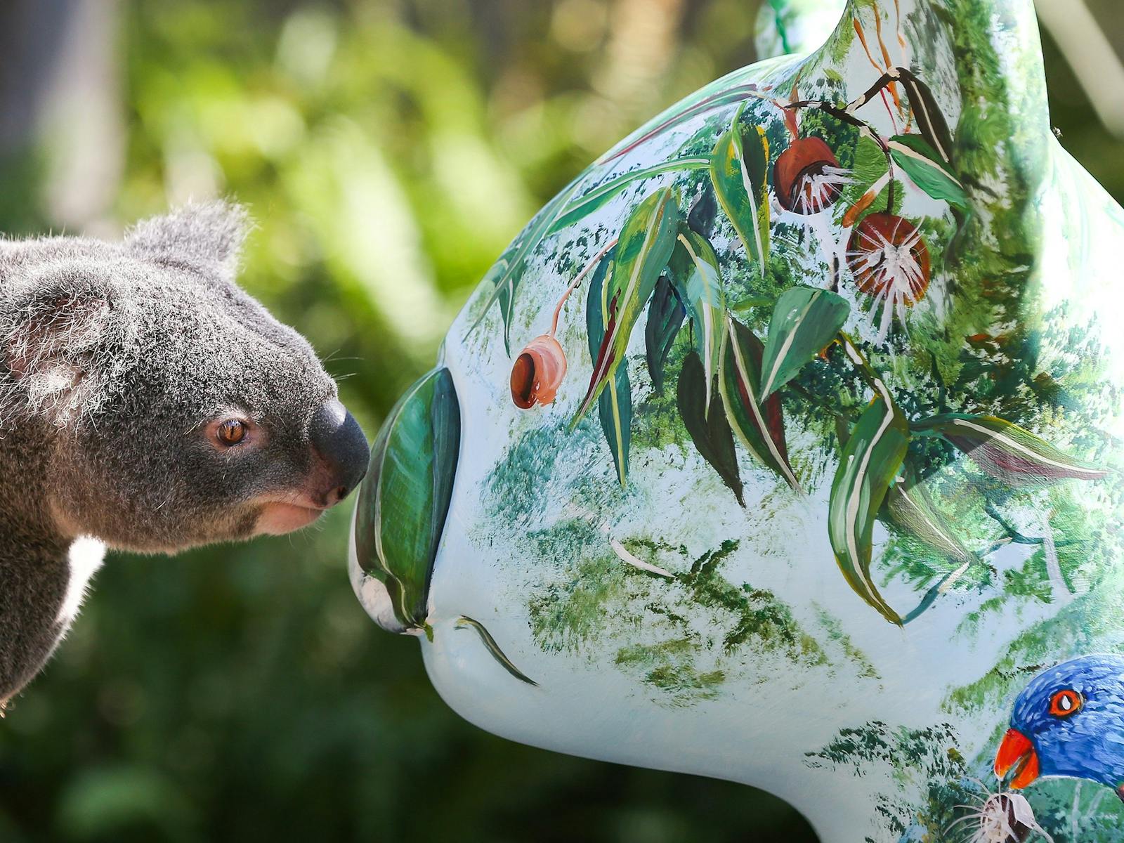 Image for Fifth Annual Hello Koalas Festival and Treasure Hunt