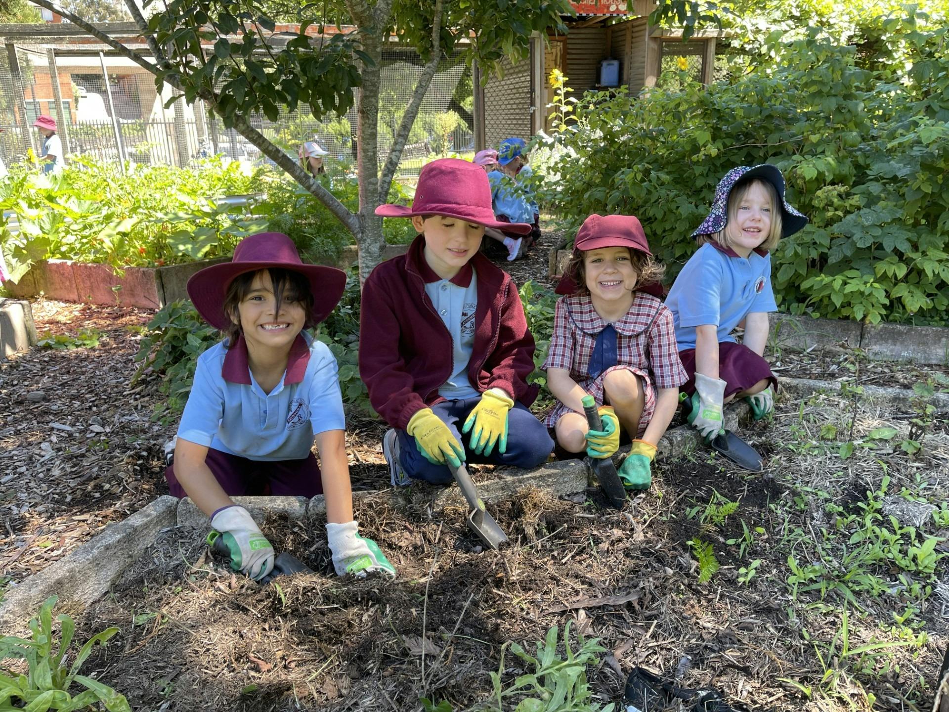 Four students wearing gardening gloves kneel in the dirt
