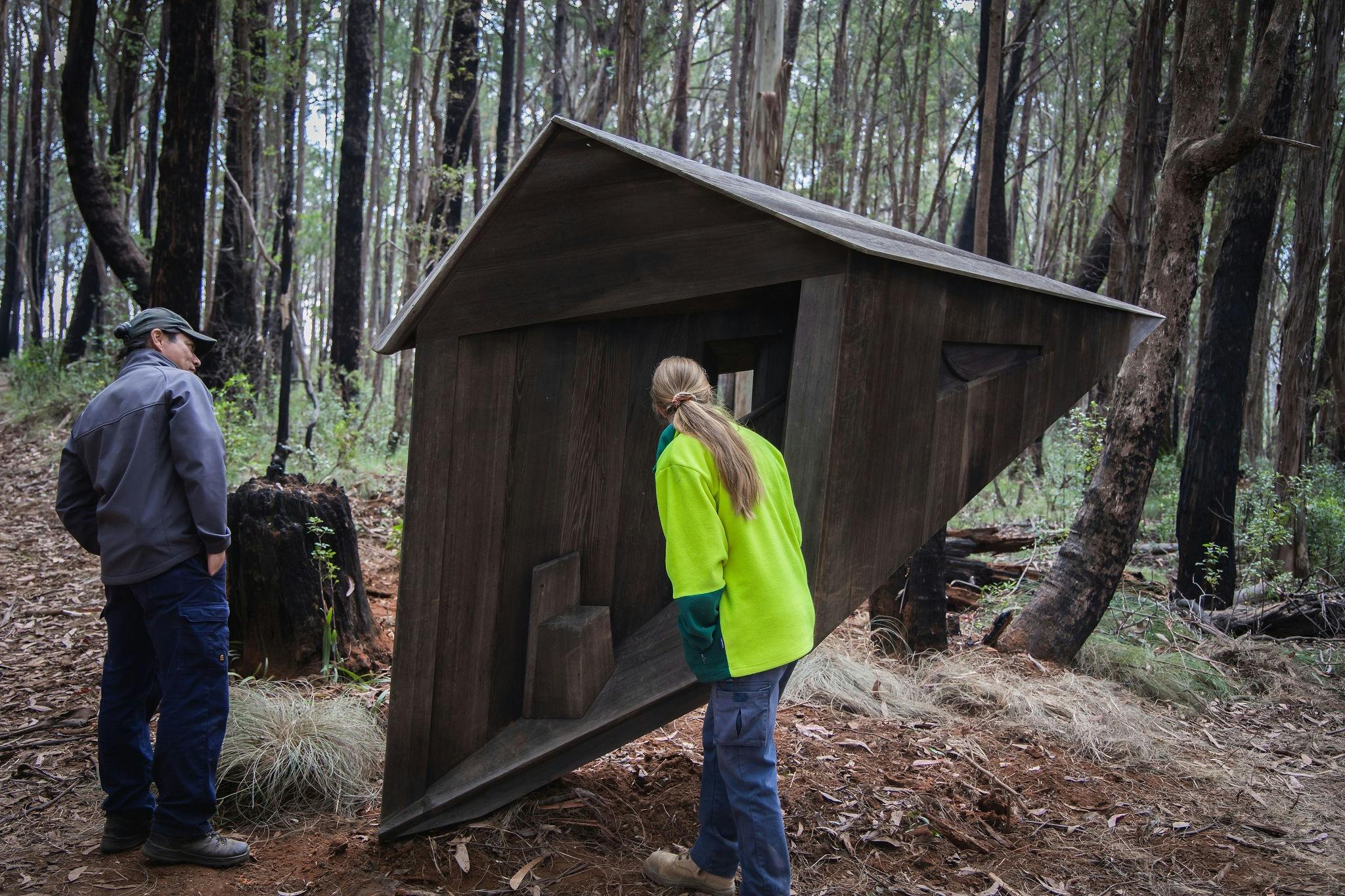 Scultpure  along the Alpine Ash Walk