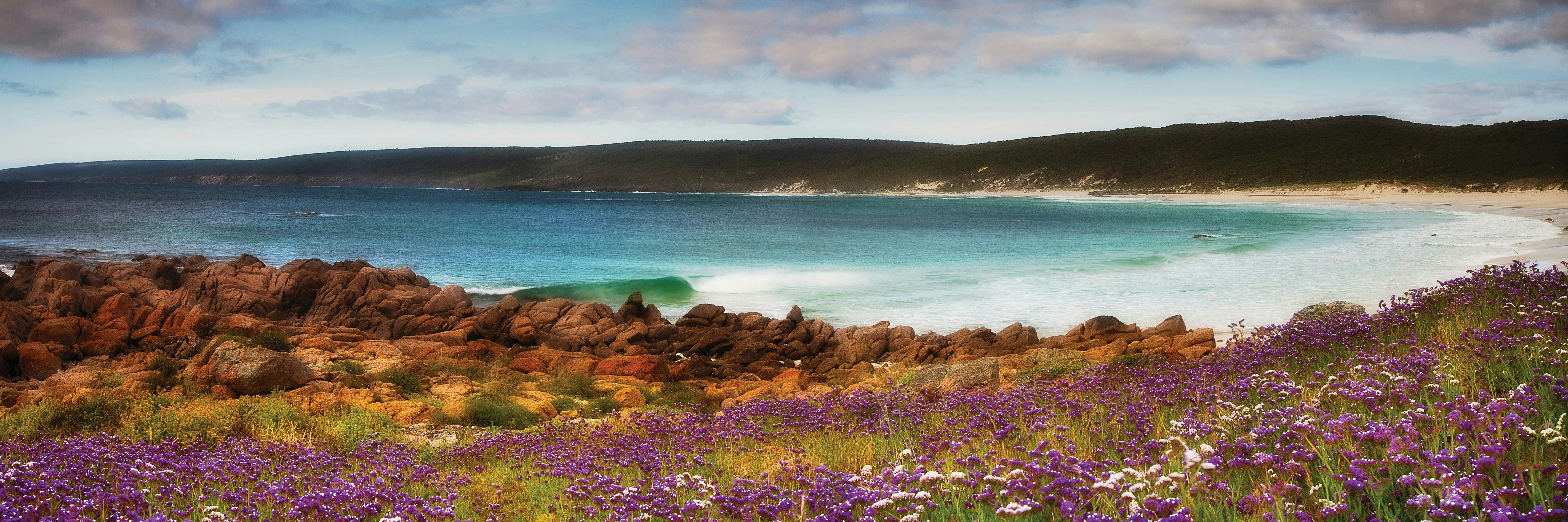 Jarrahland Wildflower Trail, Dunsborough, Western Australia
