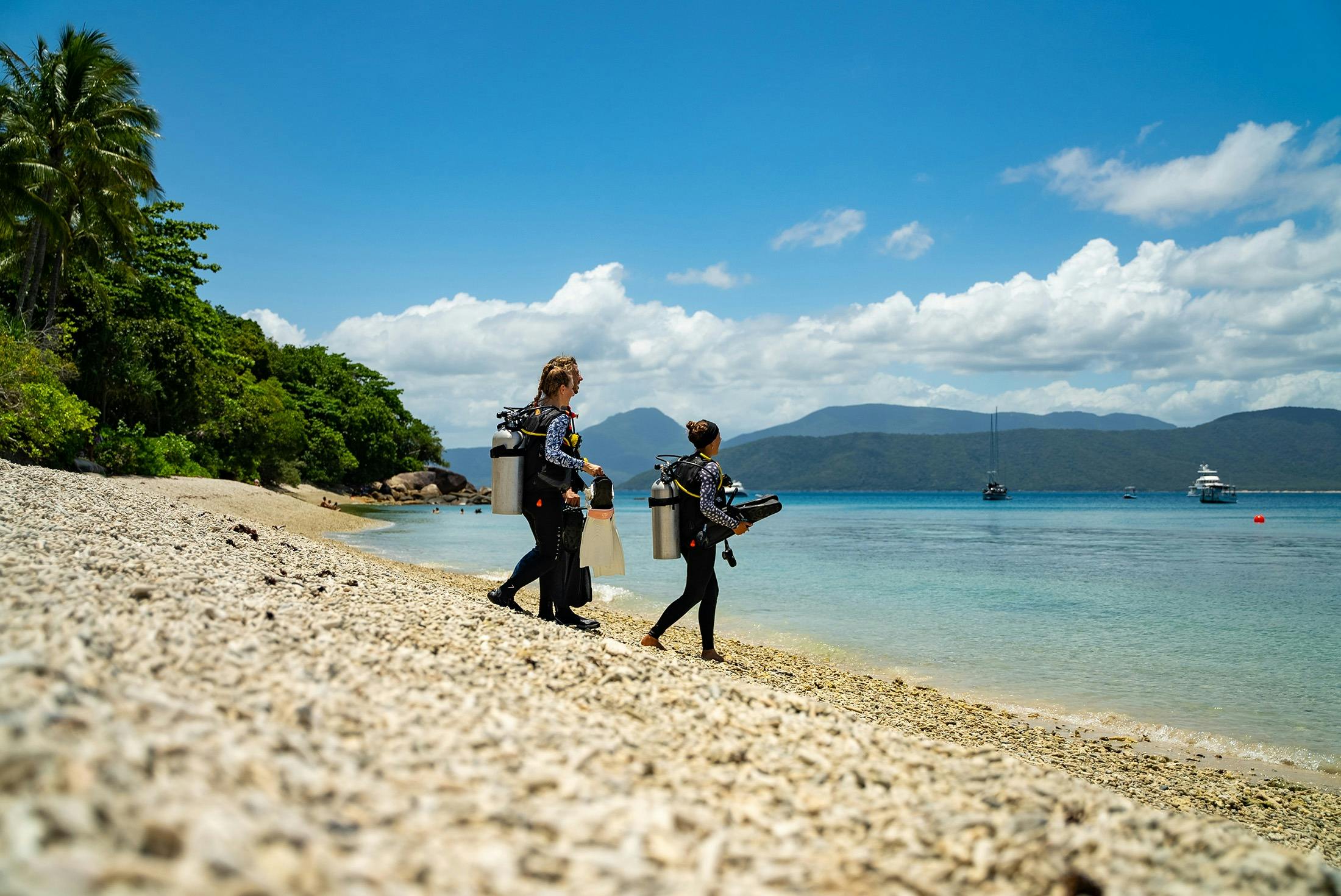 Octopus Dive - Fitzroy Island