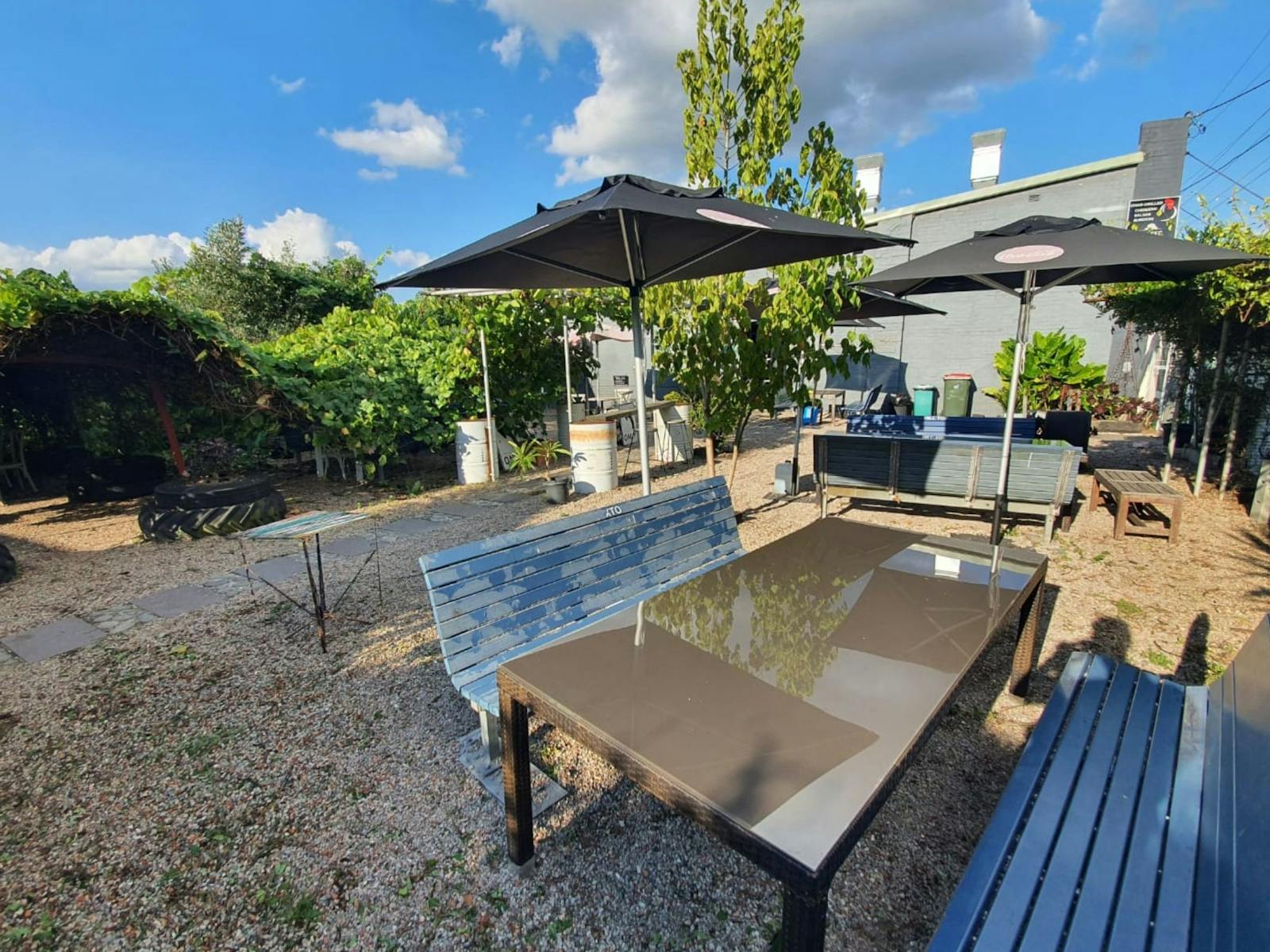 A view of the back garden from the perspective of looking toward our buliding, seeing all chairs.
