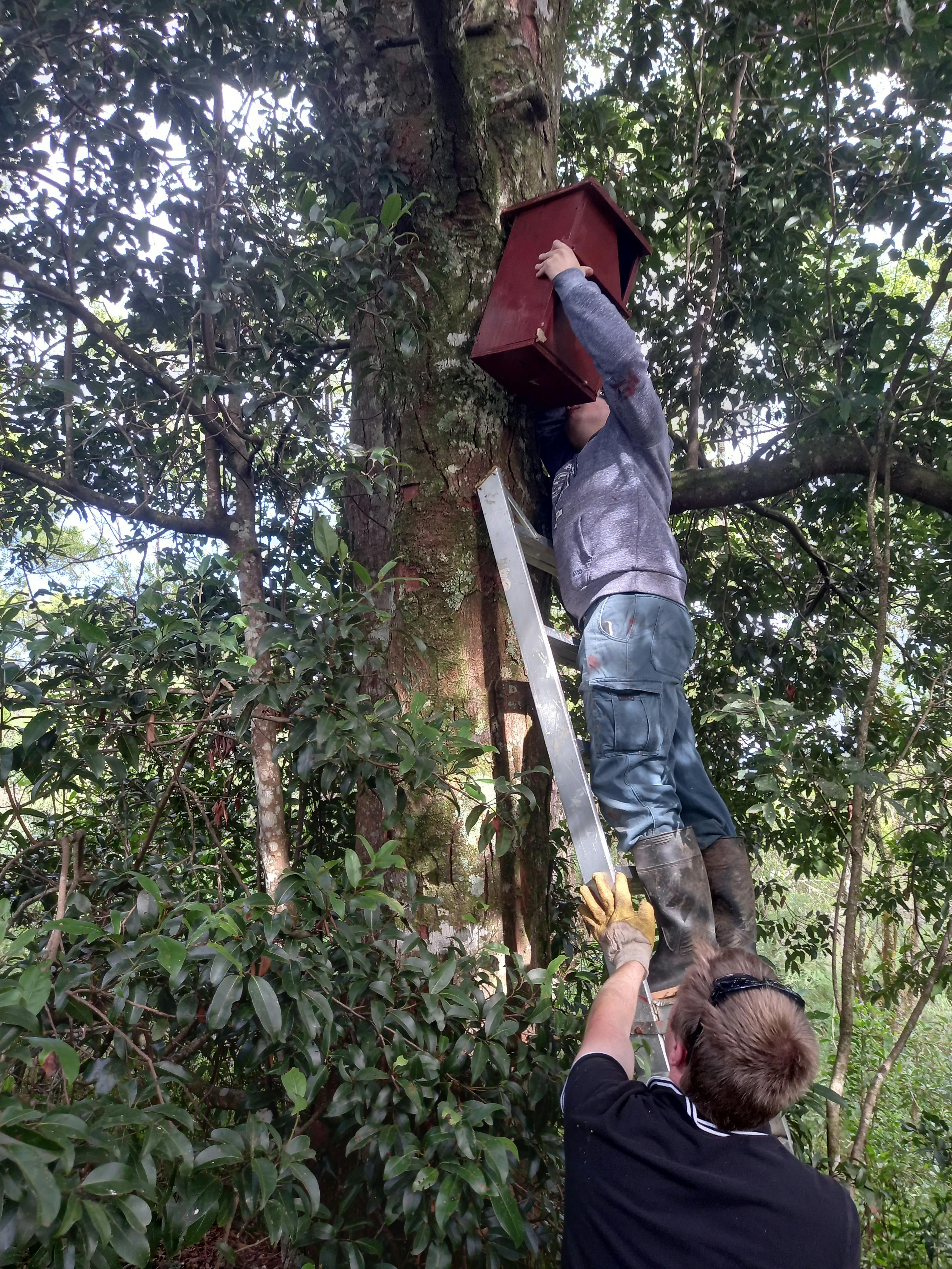 Providing safe refuge on farms for wildlife