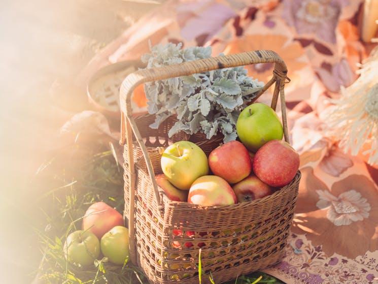 A basket of local Batlow apples which are used for our cider and apple pies.