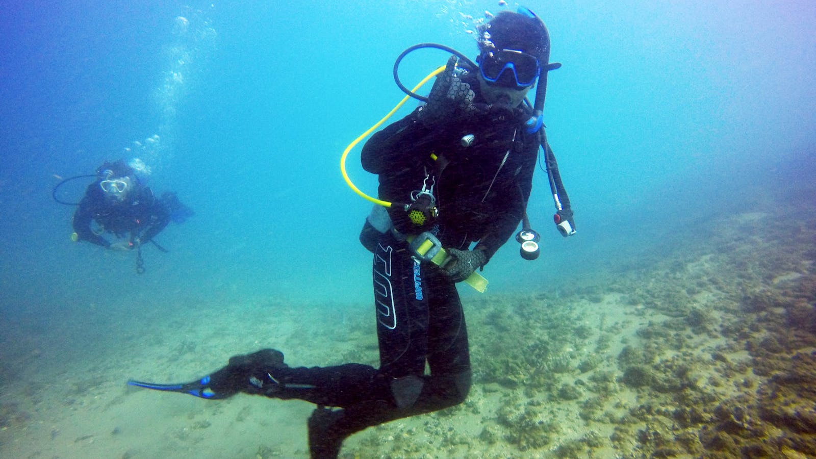 Queensland Scuba Diving Company
