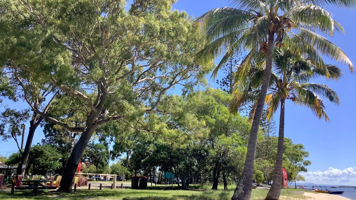 Beach  and palm tress at Bribie Beach Shack