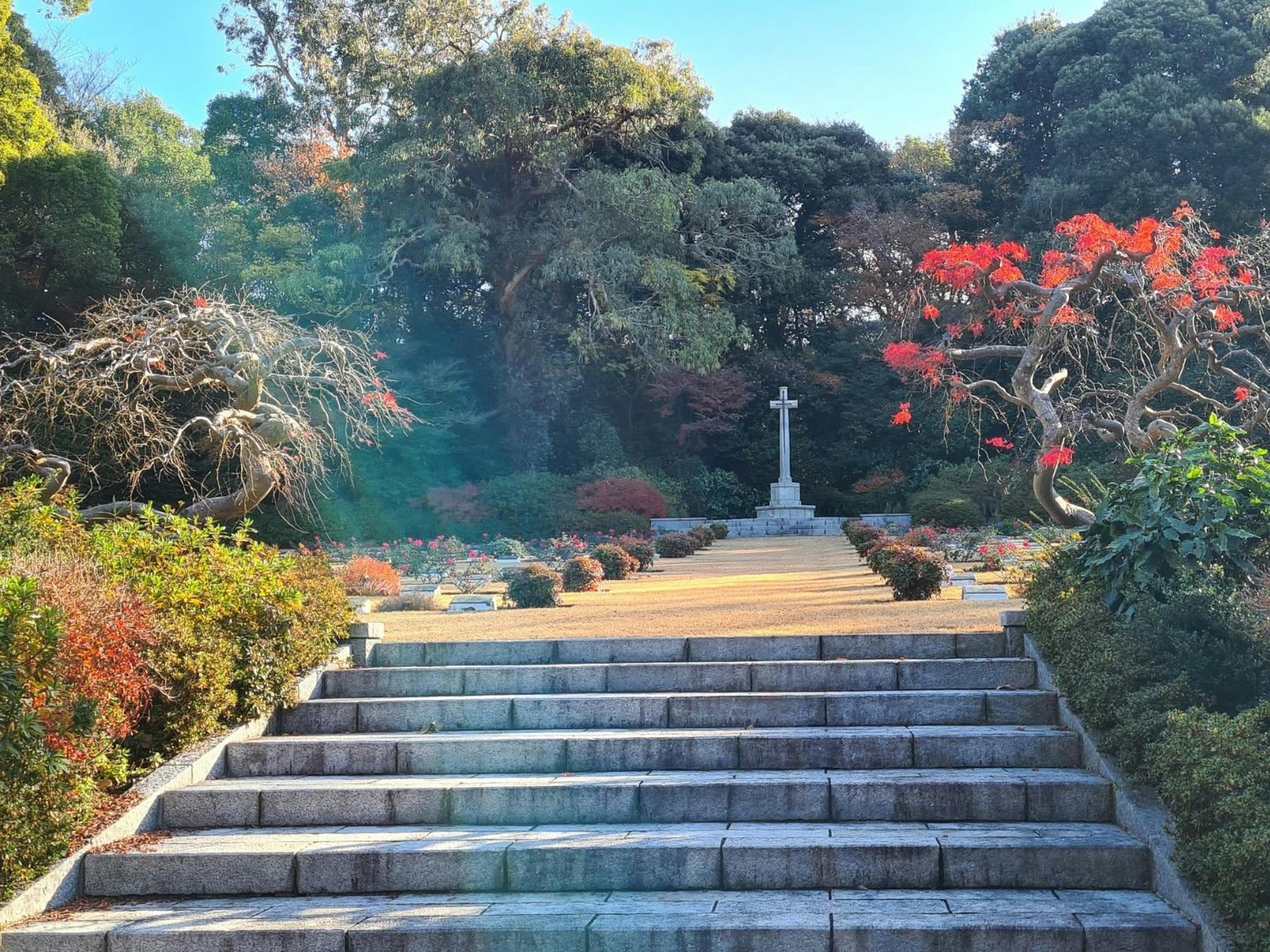 Image for Eucalypts of Hodogaya