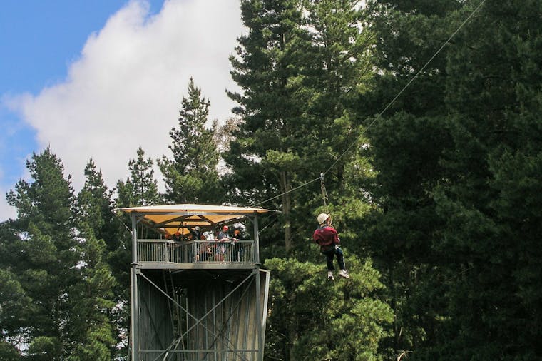 Rock Climb Abseil and Zipline Experience at the Mount Lofty Adventure Hub