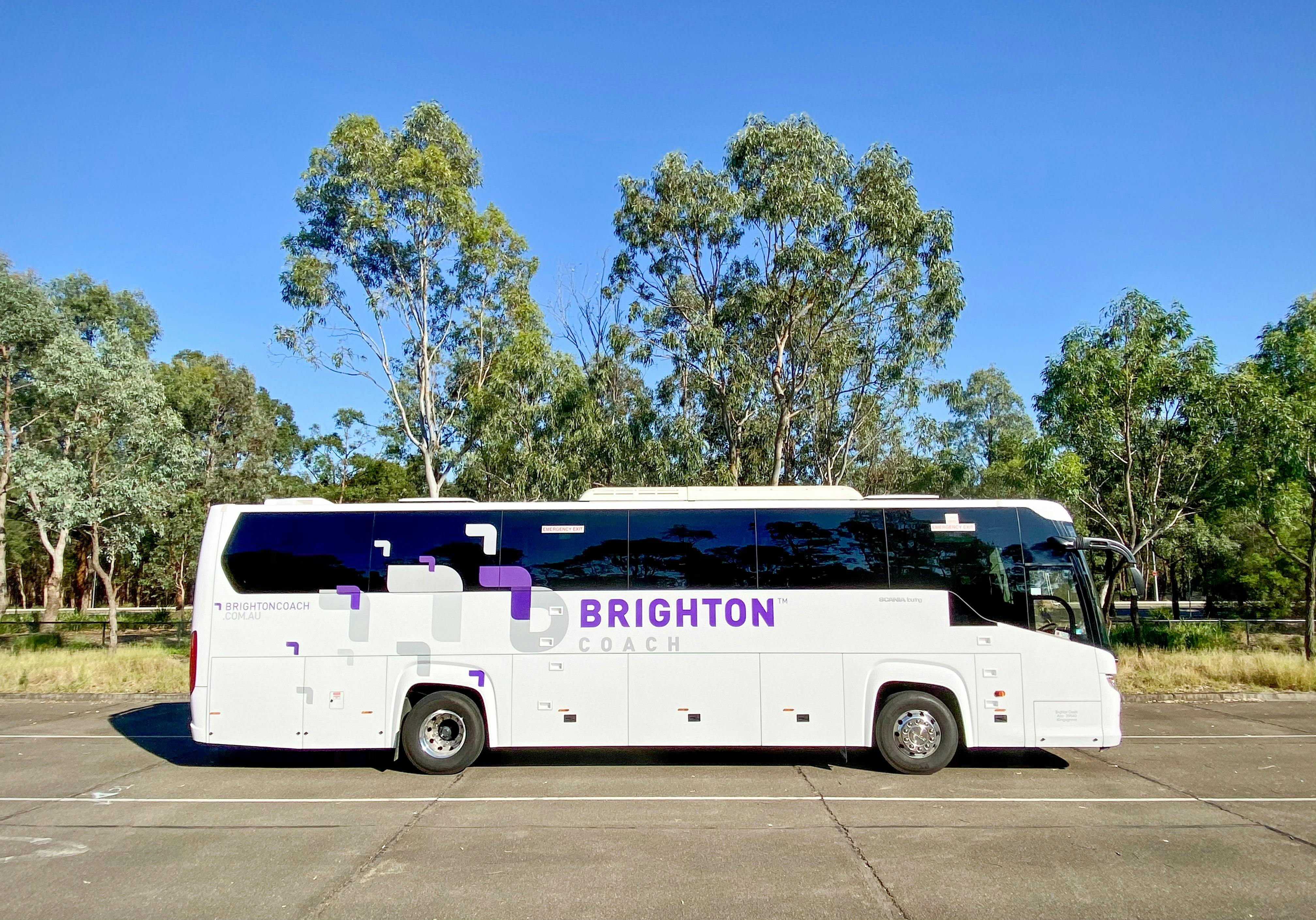 54 Seater Scania Coach