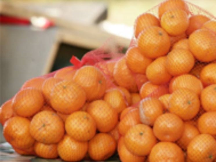 mathoura mandarins