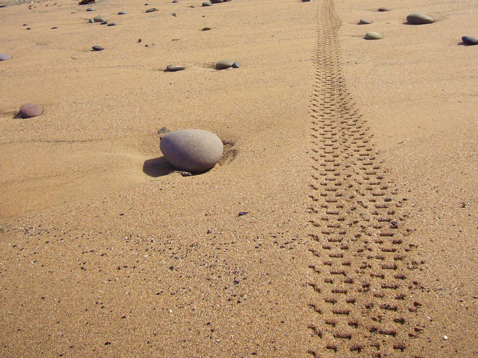 Tyre tread