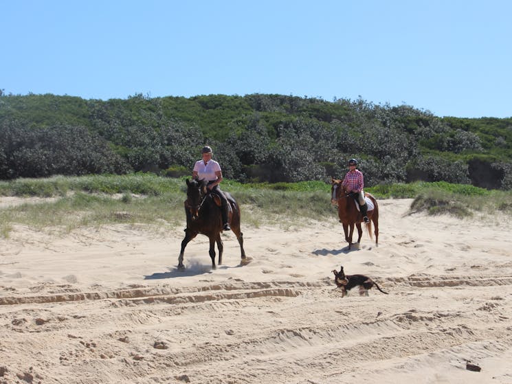 Dunbogan Beach