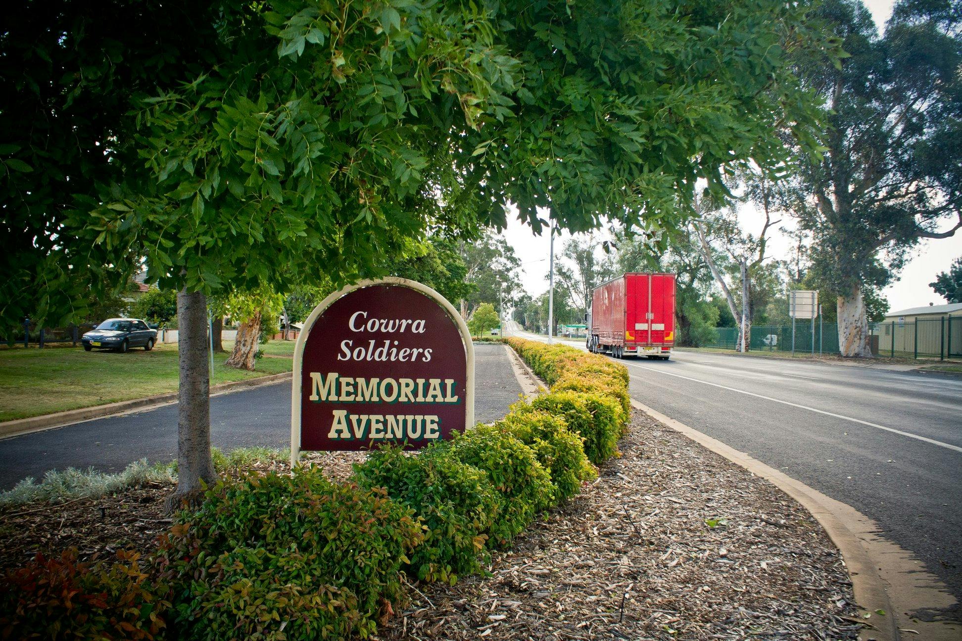 Cowra Soldiers Memorial Avenue edit1