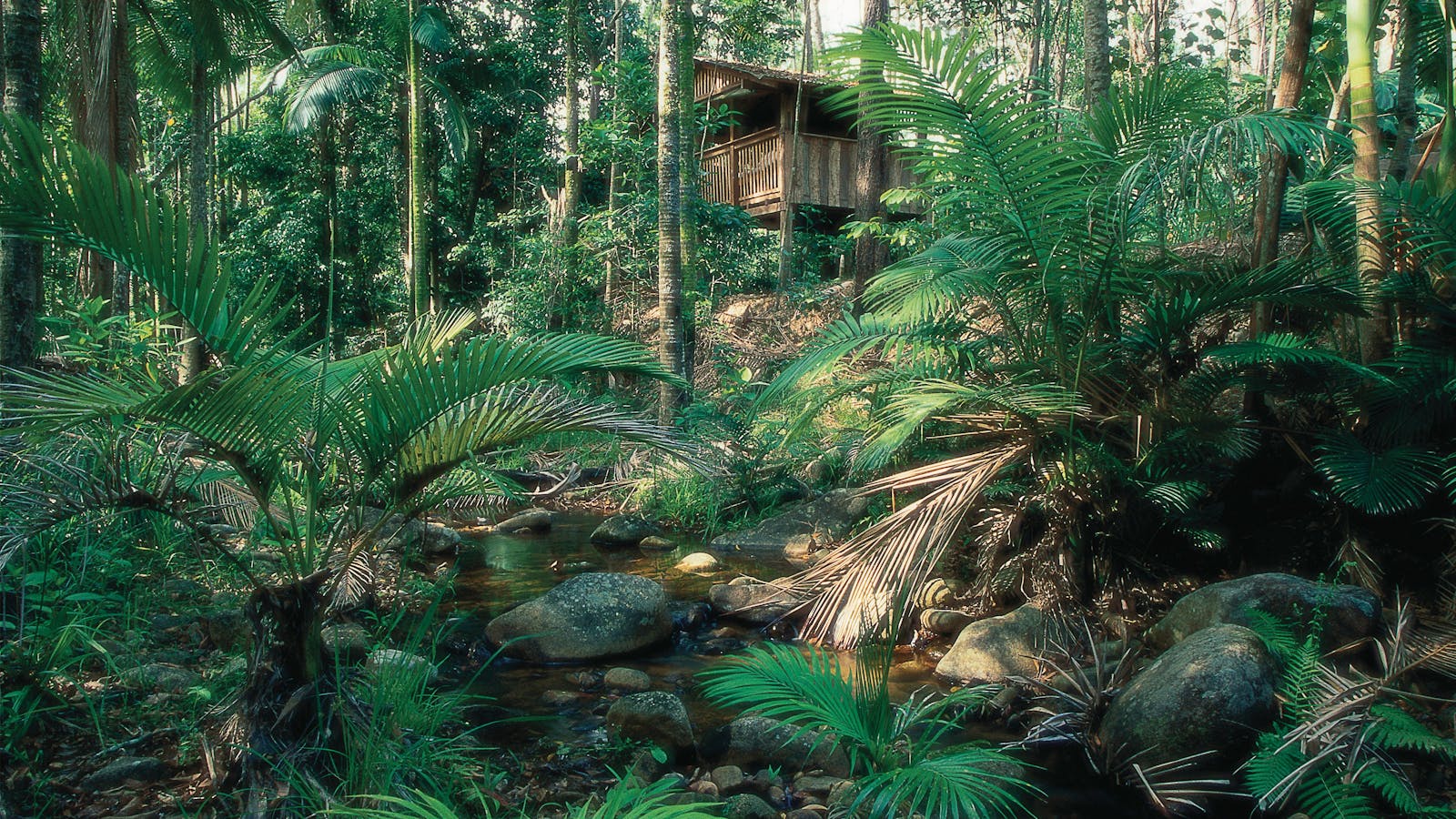 Finch Hatton Gorge.