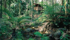 Platypus Bush Camp