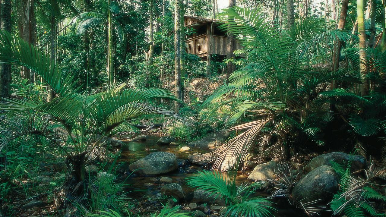 Platypus Bush Camp