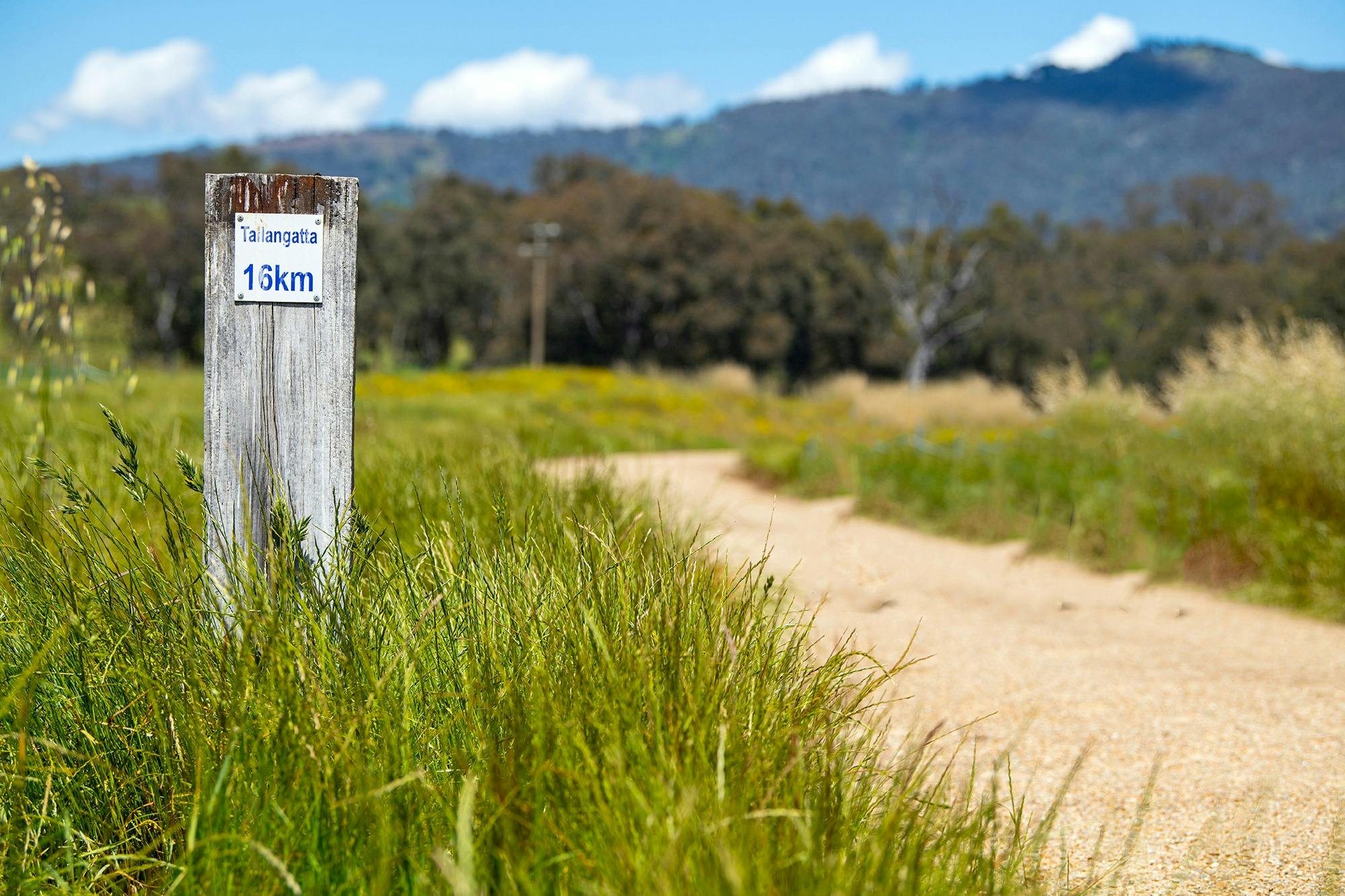 Experience a range of landscapes and views when you run the Pub to Pelican