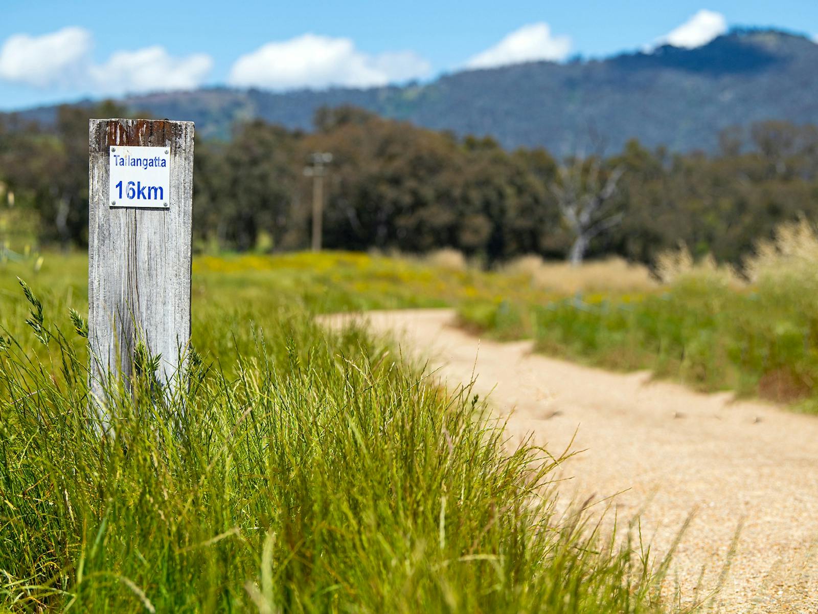 Experience a range of landscapes and views when you run the Pub to Pelican