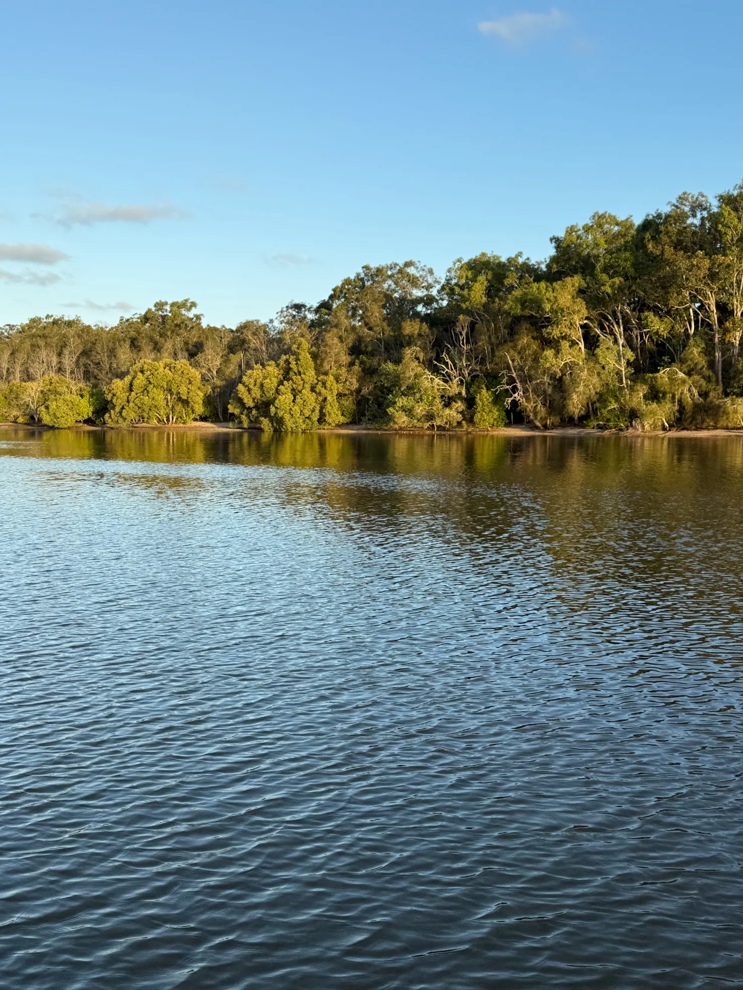 peaceful water in the pumicestone passage on an Eco Tou by Caloundra Charter Company